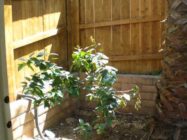2533 Kings View Circle Spring Valley, CA 91977 - Photo 8 of 9
