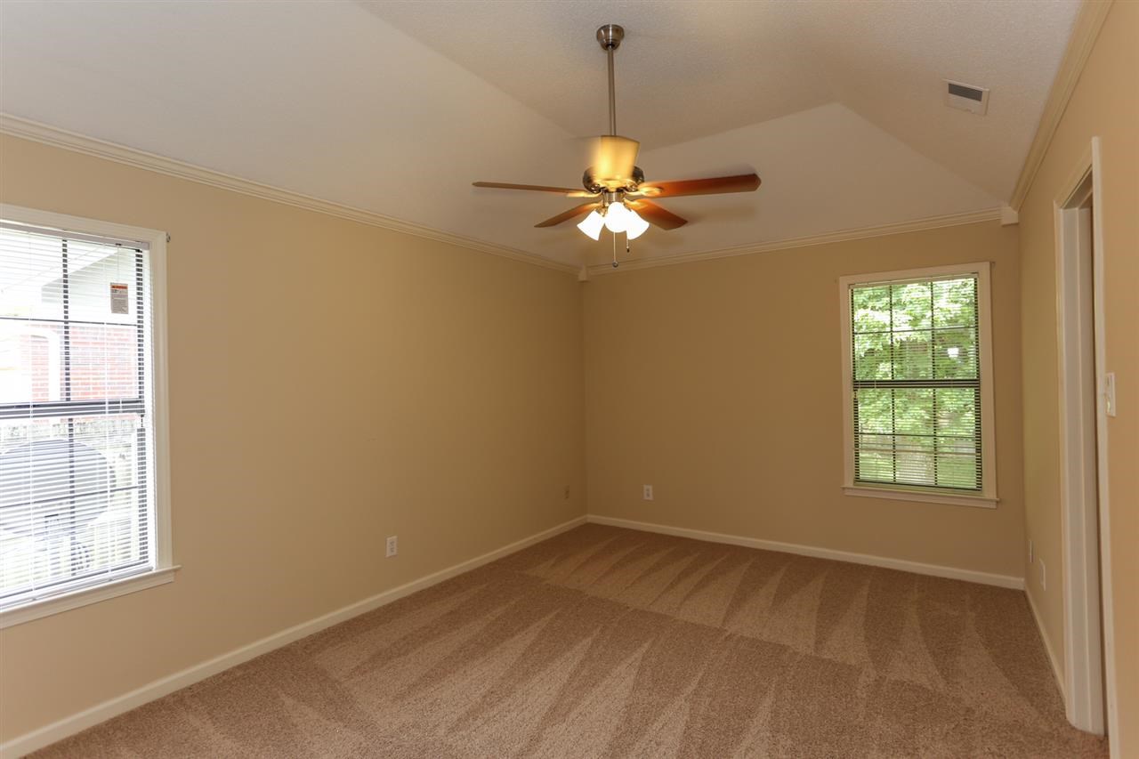 861 Rhett Butler Drive Collierville, TN 38017 - Photo 13 of 25 Spacious master bedroom with two large windows and coffered ceiling!