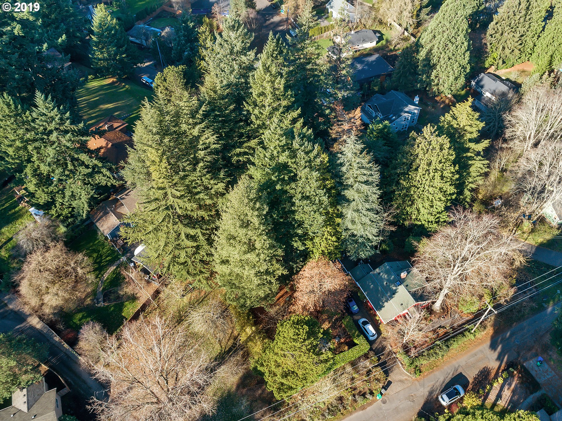 8533 Southwest 35th Avenue Portland, OR 97219 - Photo 5 of 18 Gallery Image 5