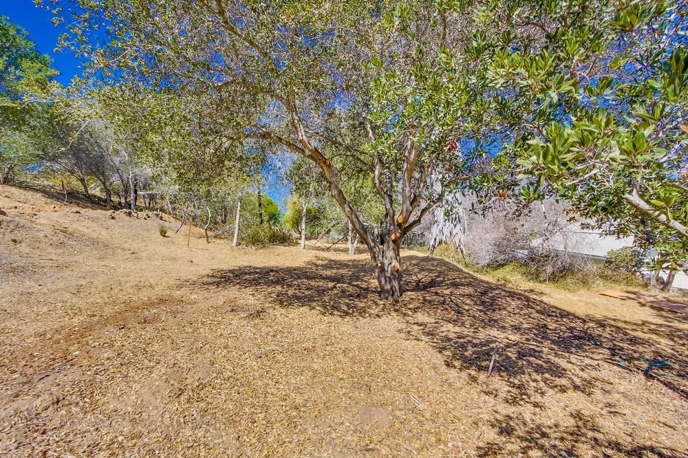 2367 Primrose Avenue Vista, CA 92083 - Photo 24 of 25