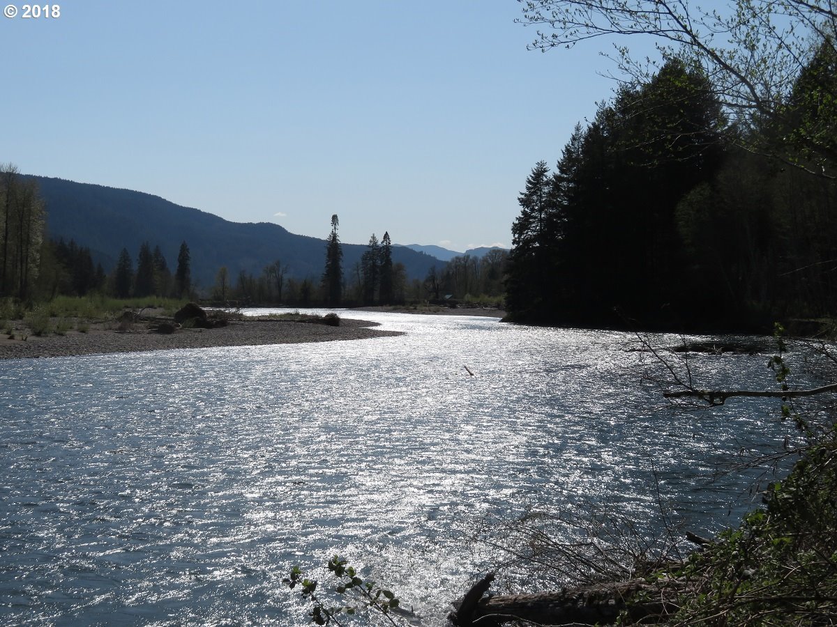 Carr Road Randle, WA 98377 - Photo 1 of 32 Gallery Image 1