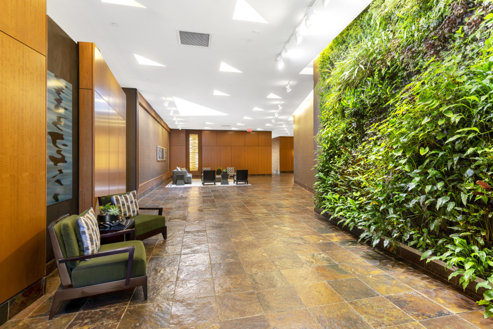 Kalahari 40 W 116th St, Manhattan, NY 10026 - Photo 9 of 32