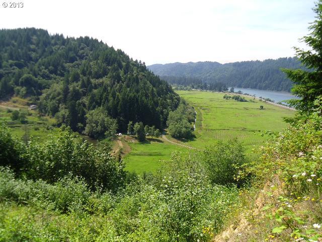 0 Deans Creek Road Reedsport, OR 97467 - Photo 2 of 4