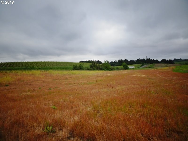 Lone Star Road Salem, OR 97304 - Photo 11 of 25 Gallery Image 11