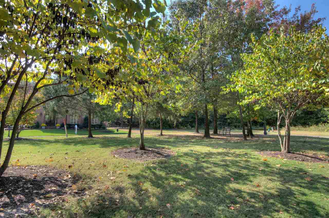 1277 South Dubray Place Collierville, TN 38017 - Photo 23 of 25 The common areas of DuBray are finely manicured.