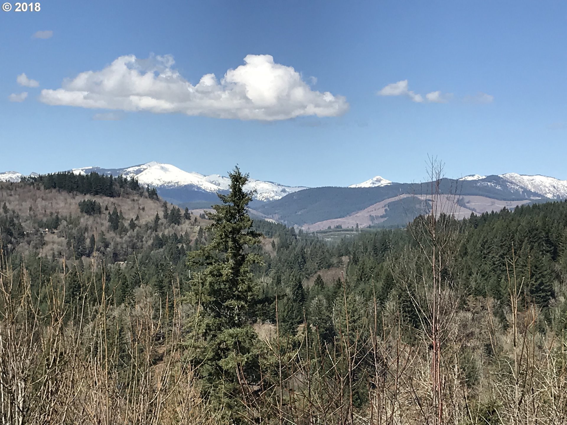 0 Uran Road, Unit 3 Washougal, WA 98671 - Photo 2 of 19 Gallery Image 2
