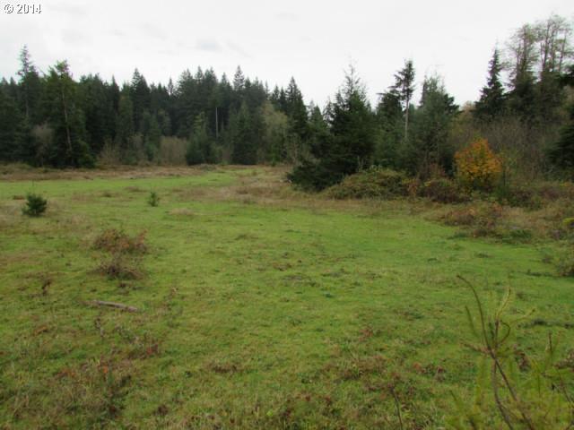 Skye Road Washougal, WA 98671 - Photo 9 of 11