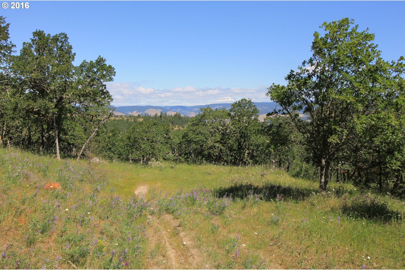 Del Vista Mosier, OR 97040 - Photo 24 of 31 Gallery Image 24