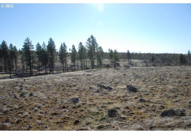 Jensen Quarry Road, Unit 39 Roosevelt, WA 99356 - Photo 10 of 13 Gallery Image 10
