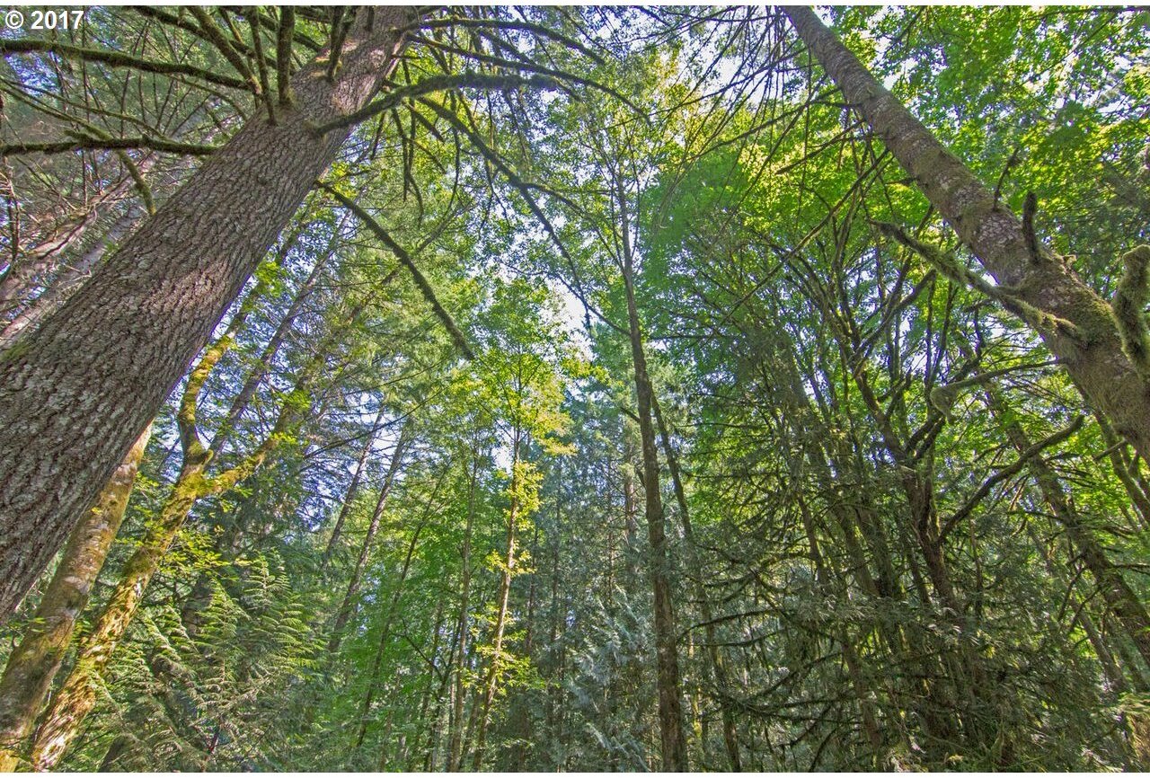 26260 Northwest Pihl Road Banks, OR 97106 - Photo 13 of 32 Gallery Image 13