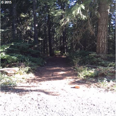 Prairie Road, Unit 54 Appleton, WA 98602 - Photo 13 of 16 Gallery Image 13