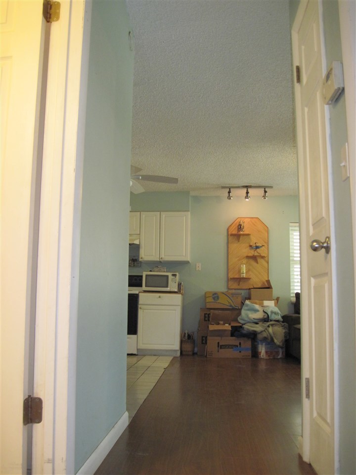 437 Segovia Road St. Augustine, FL 32086 - Photo 16 of 44