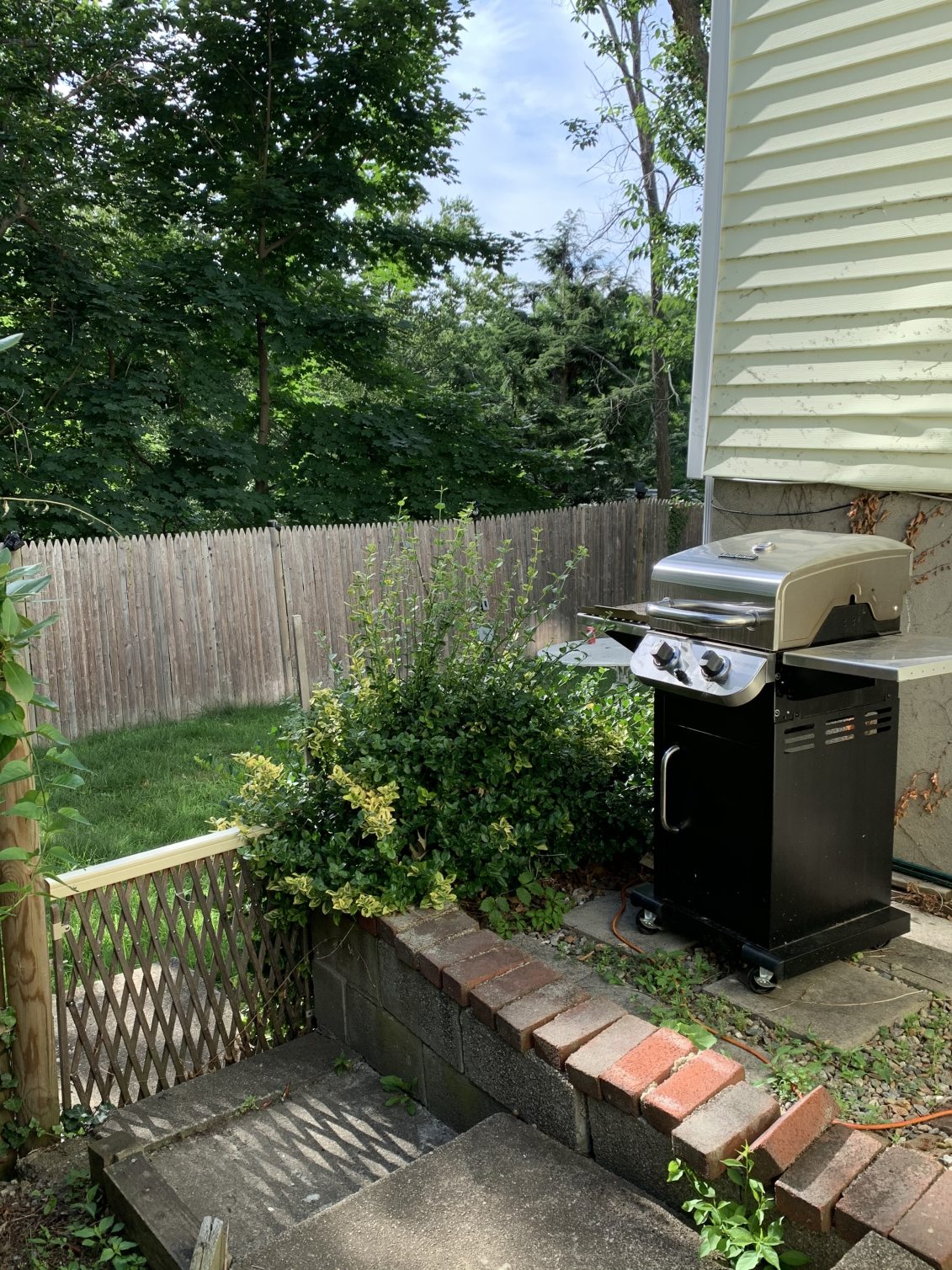 290 Forest Street Arlington, MA 02474 - Photo 5 of 6