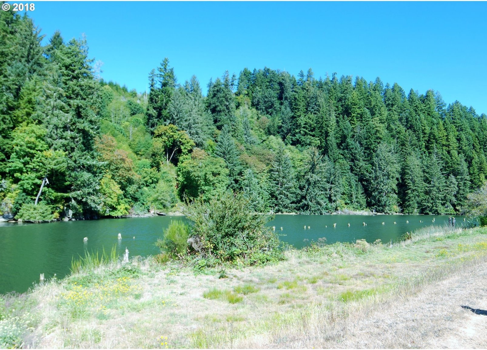 0 Hawthorne Avenue Reedsport, OR 97467 - Photo 5 of 7 Gallery Image 5