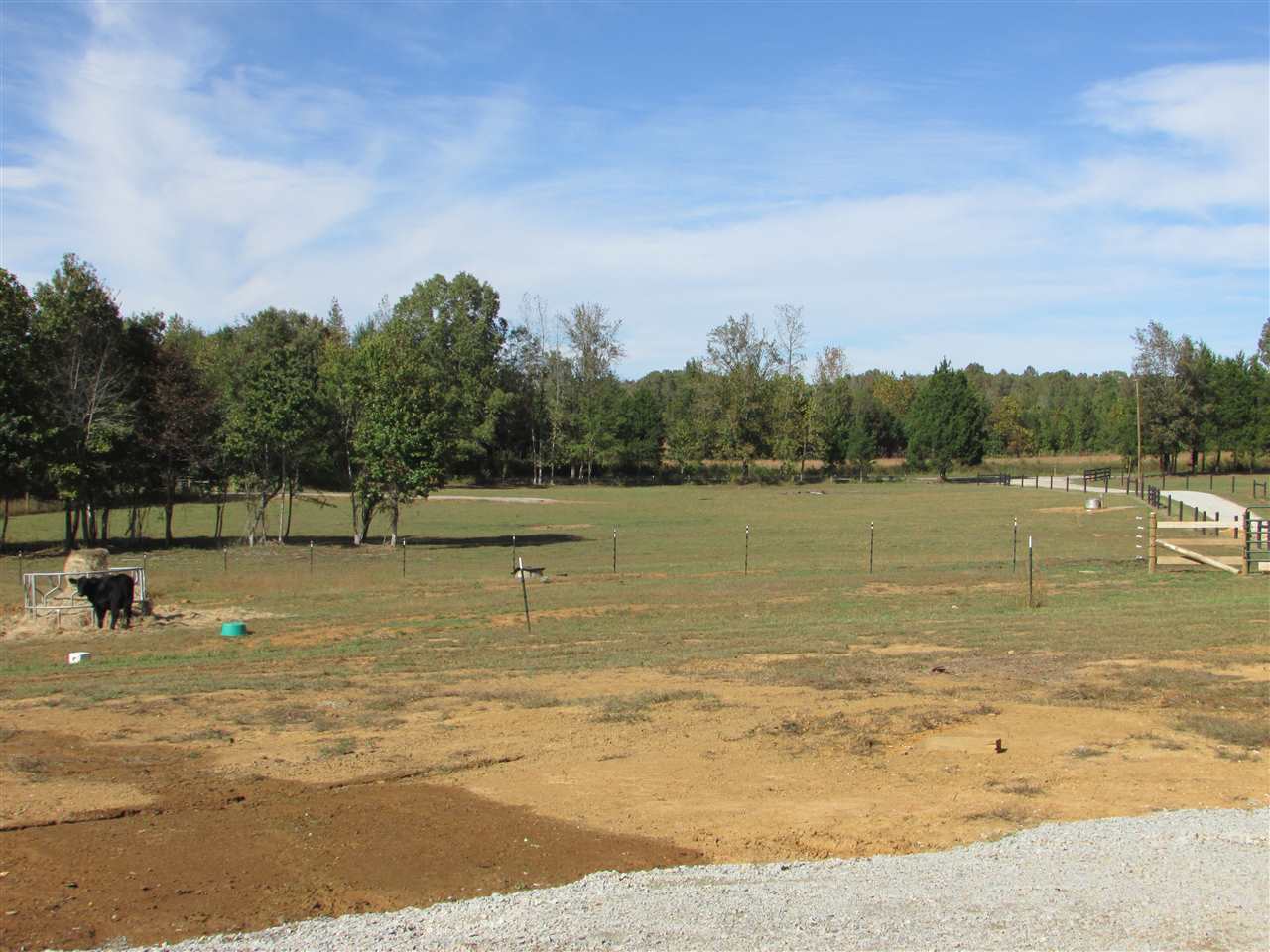 2709 Pitts Road Sardis, TN 38371 - Photo 23 of 25