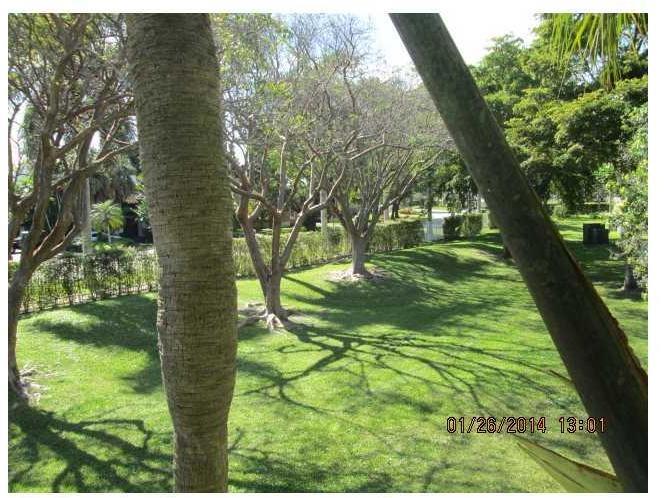 13280 Southwest 88th Lane, Unit 203B Miami, FL 33186 - Photo 6 of 16