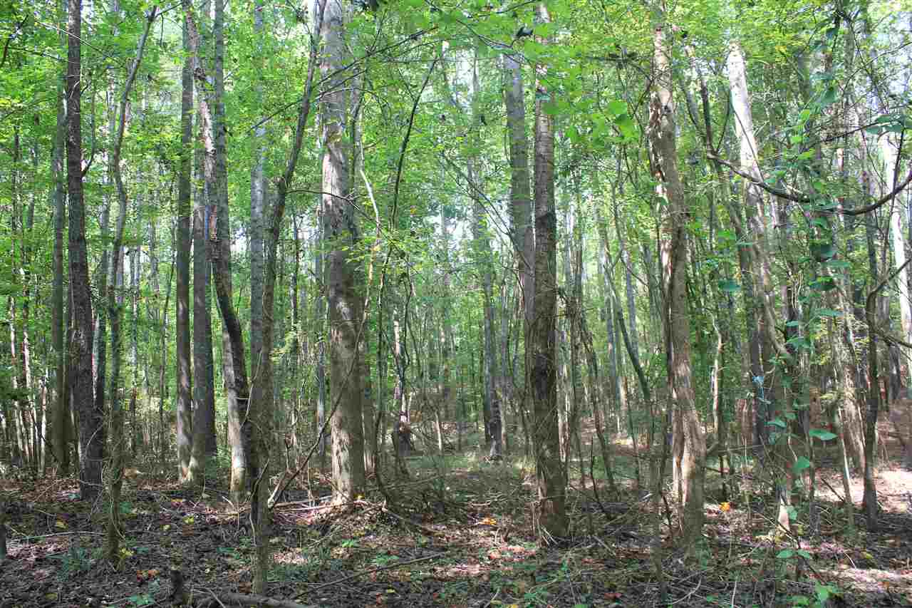 0 Robert Ford Road Waterford, MS 38685 - Photo 6 of 25