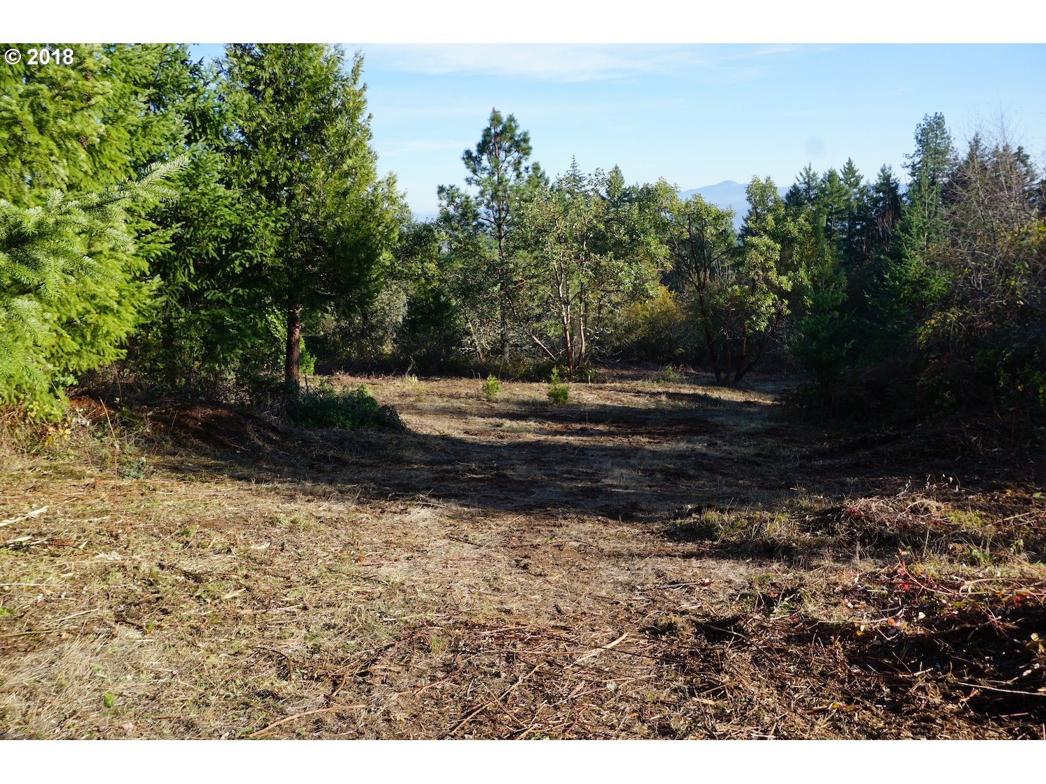 31529 Fox Hollow Road Eugene, OR 97405 - Photo 23 of 31 Gallery Image 23