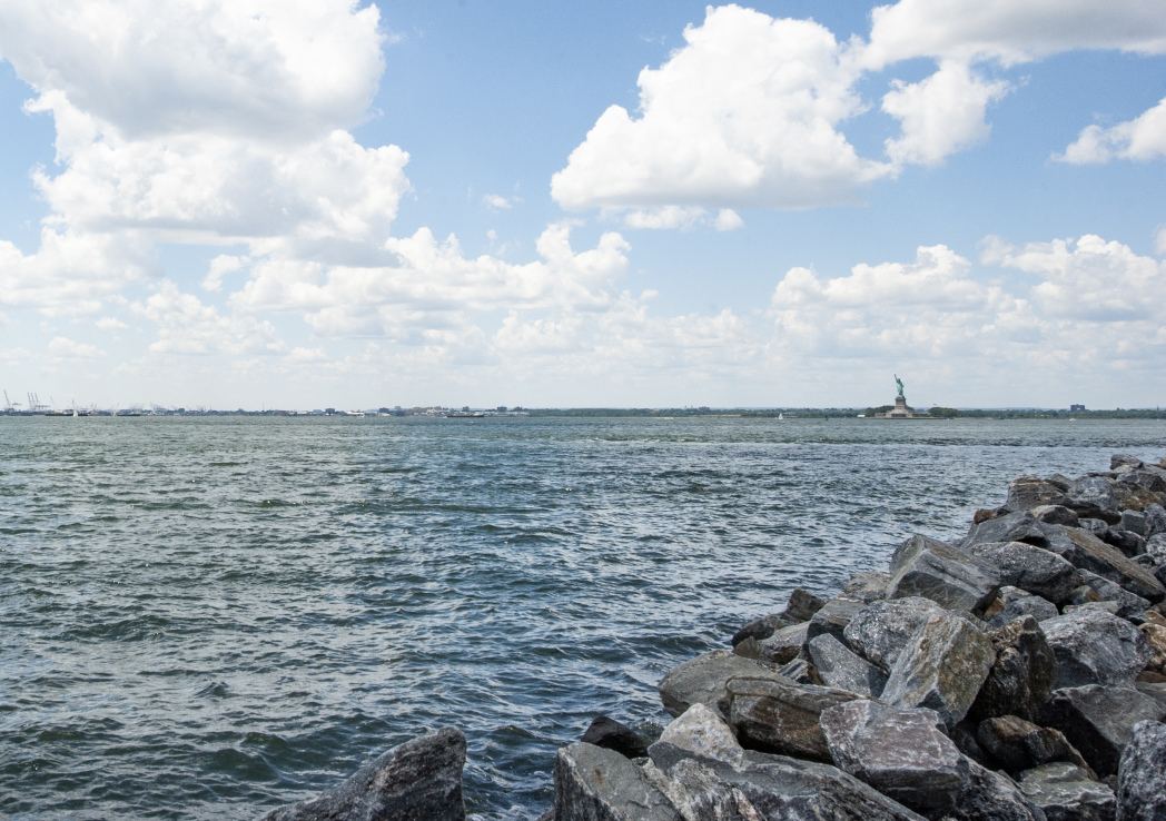 87 Pioneer Street Brooklyn, NY 11231 - Photo 20 of 20