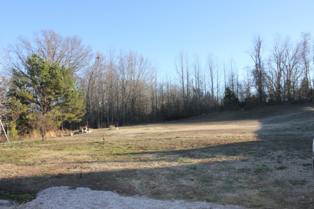 2765 Conner Whitefield Road Ripley, TN 38063 - Photo 4 of 19