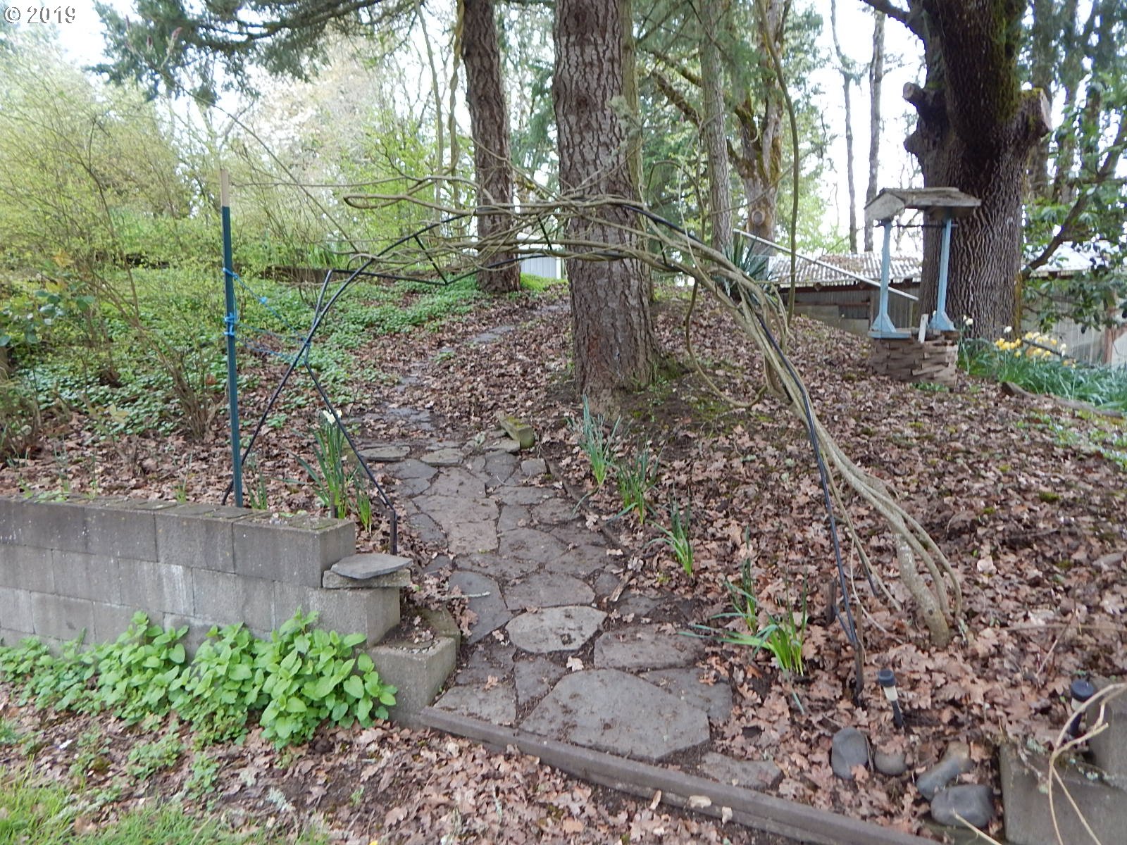 6990 Zena Road Rickreall, OR 97371 - Photo 10 of 27 Gallery Image 10