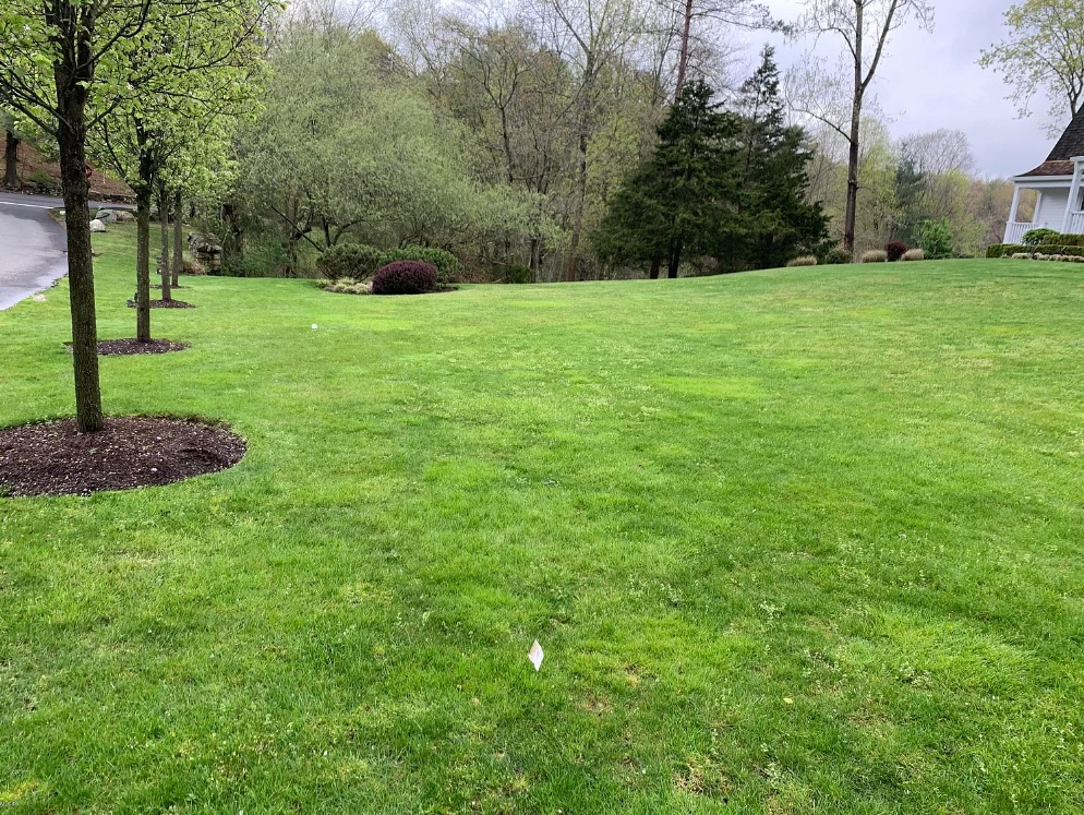 2 Old Stone Bridge Road Cos Cob, CT 06807 - Photo 35 of 48