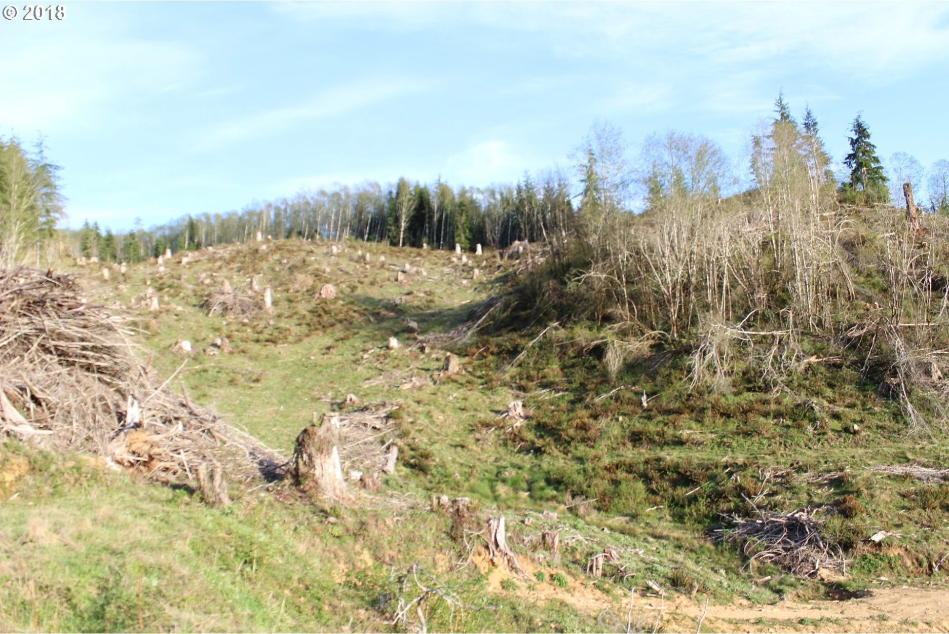 Elochoman Valley Cathlamet, WA 98612 - Photo 11 of 26