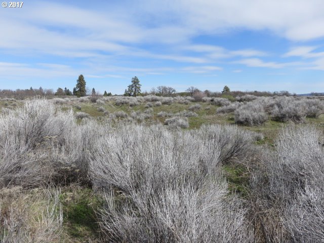 40 Wagon Rut Road Goldendale, WA 98620 - Photo 2 of 3 Gallery Image 2