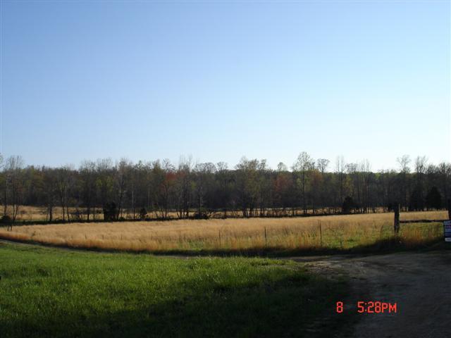 2406 Blunt Road Decaturville, TN 38329 - Photo 9 of 10 Gallery Image 9