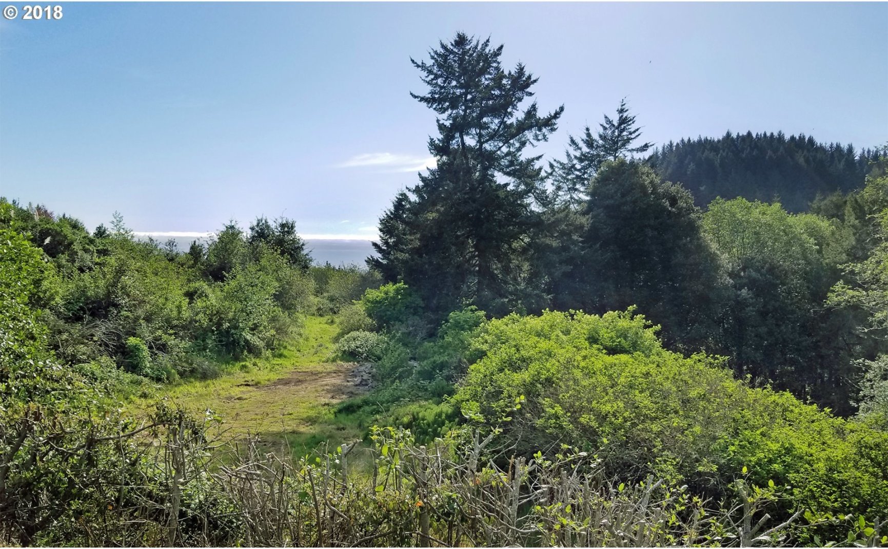 96465 Coverdell Road, Unit 4 Brookings, OR 97415 - Photo 12 of 23