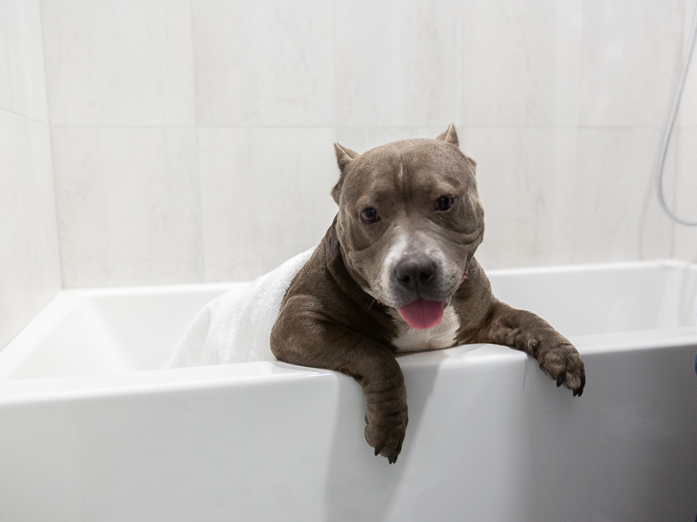 270 12th Street, Unit 2 Brooklyn, NY 11215 - Photo 15 of 17