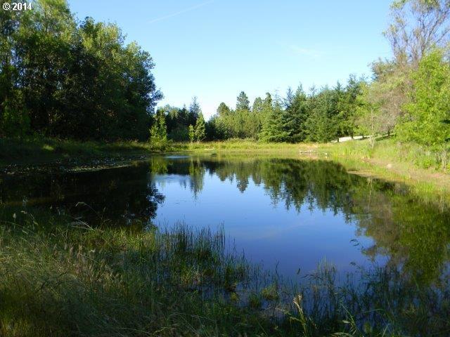 302 Joelson Road Umpqua, OR 97486 - Photo 14 of 16 Gallery Image 14