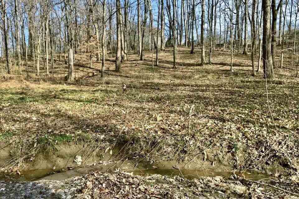 6002 North Watkins Road Millington, TN 38053 - Photo 24 of 25 Gallery Image 24