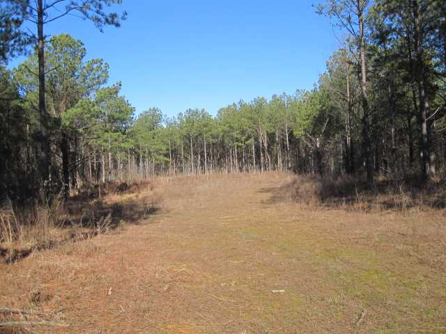 288 Mitchell Road Senatobia, MS 38668 - Photo 19 of 22 Gallery Image 19