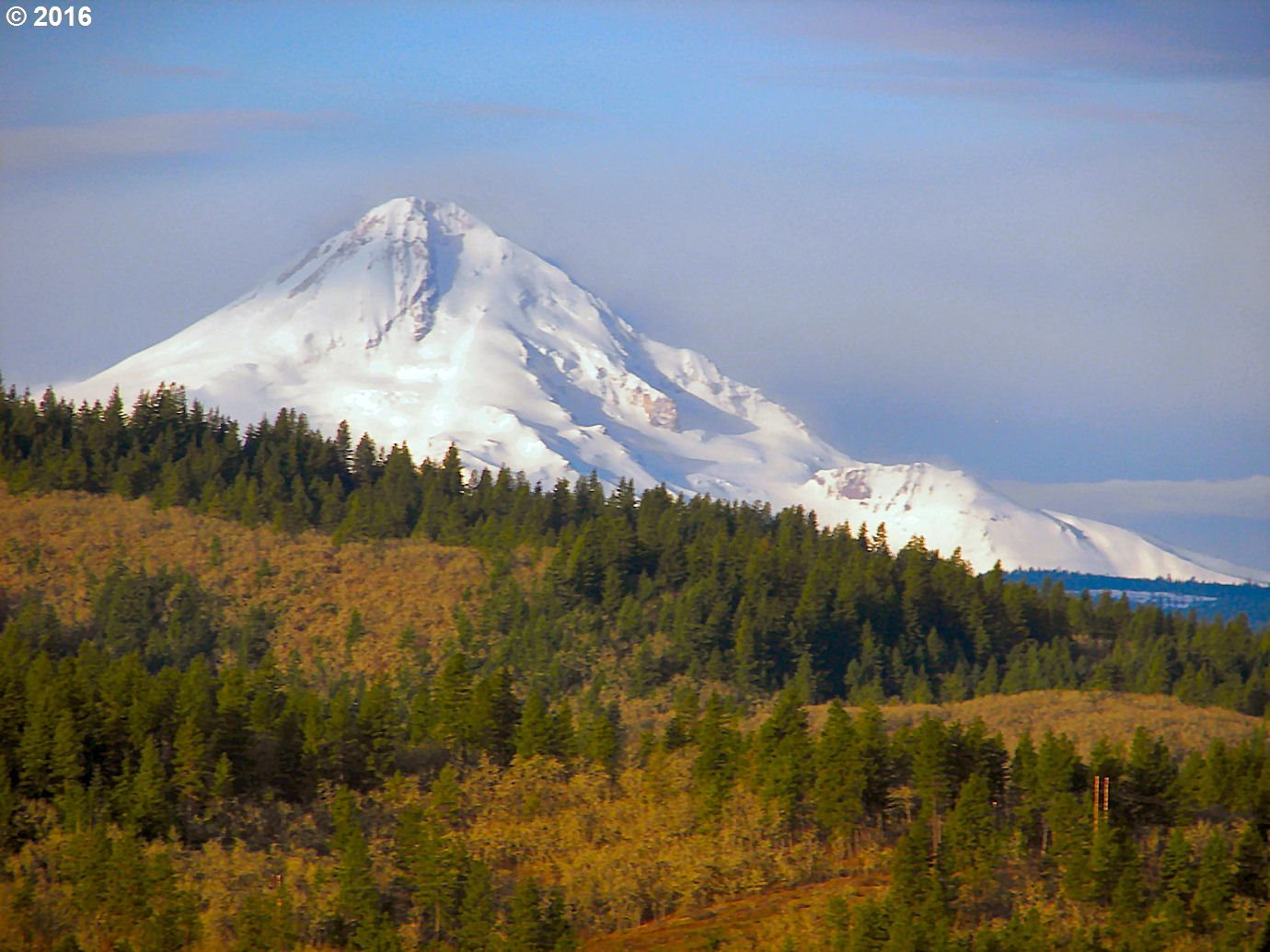 6671 Martin Road The Dalles, OR 97058 - Photo 7 of 24 Gallery Image 7
