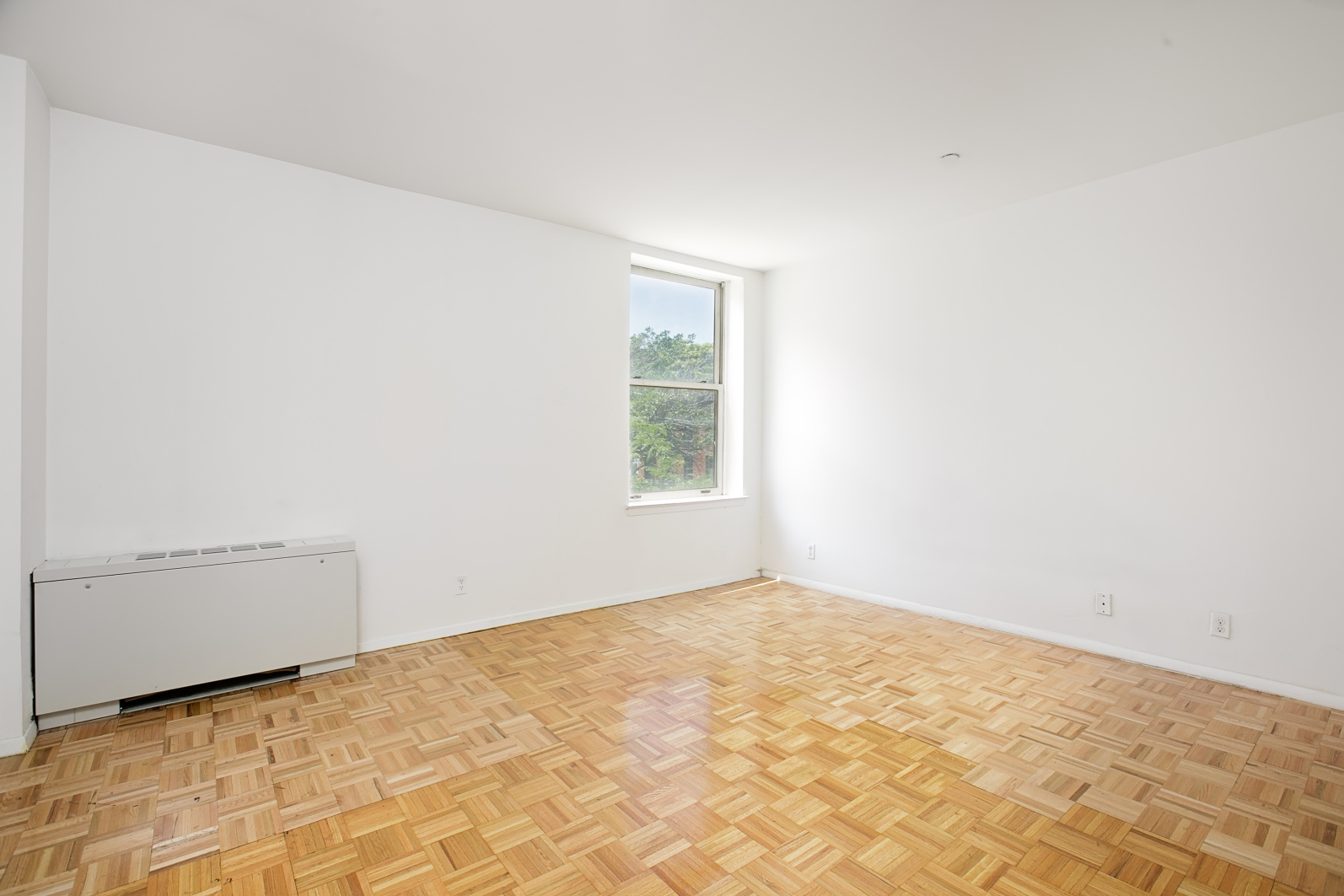 55 Poplar Street, Unit 3D Brooklyn, NY 11201 - Photo 4 of 7