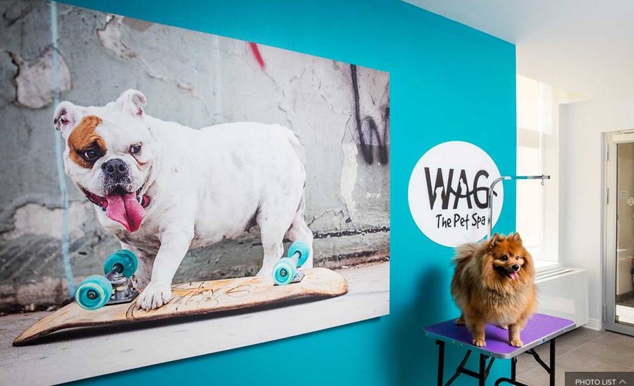 100 Willoughby Street, Unit 4H Brooklyn, NY 11201 - Photo 22 of 40