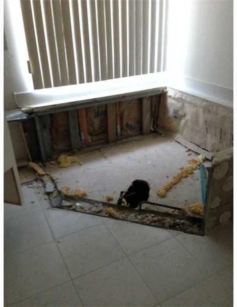 4136 Southwest 179th Way Hollywood, FL 33029 - Photo 14 of 17