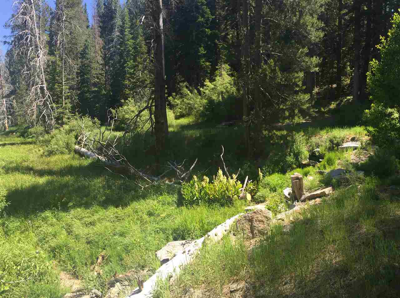 6900 River Road Truckee, CA 96161 - Photo 9 of 17