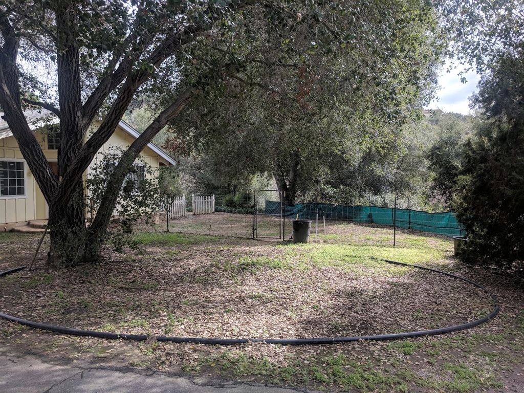 11170 West Lilac Road Valley Center, CA 92082 - Photo 14 of 23 Dog Run