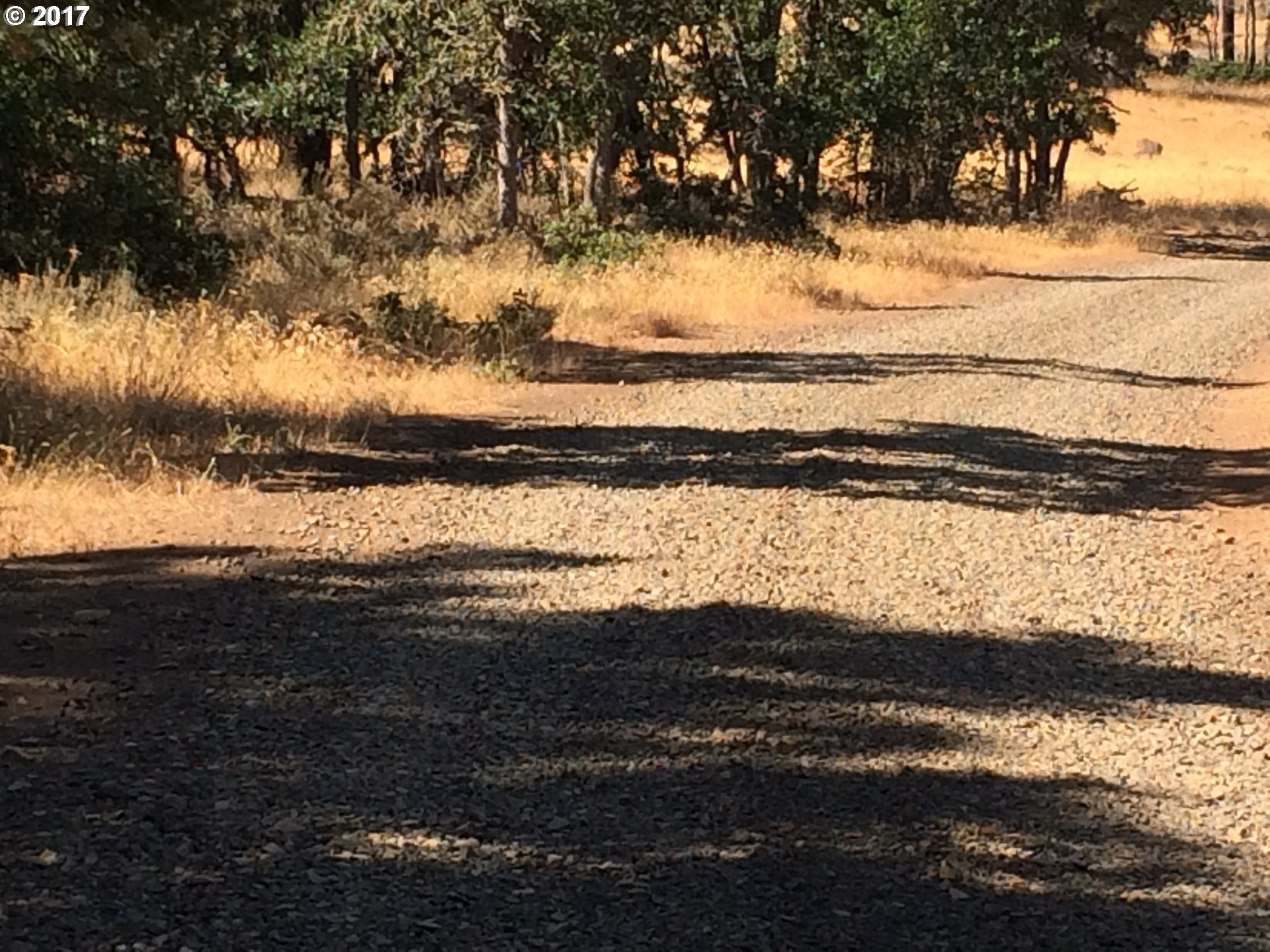 0 Pinto Pony Road Goldendale, WA 98620 - Photo 8 of 18 Gallery Image 8