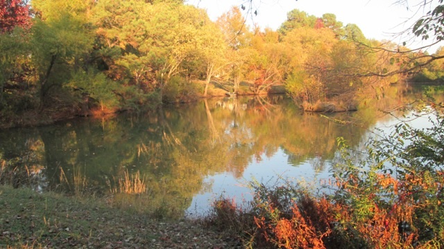 3524 County Gate Road Memphis, TN 38119 - Photo 23 of 24 Gallery Image 23