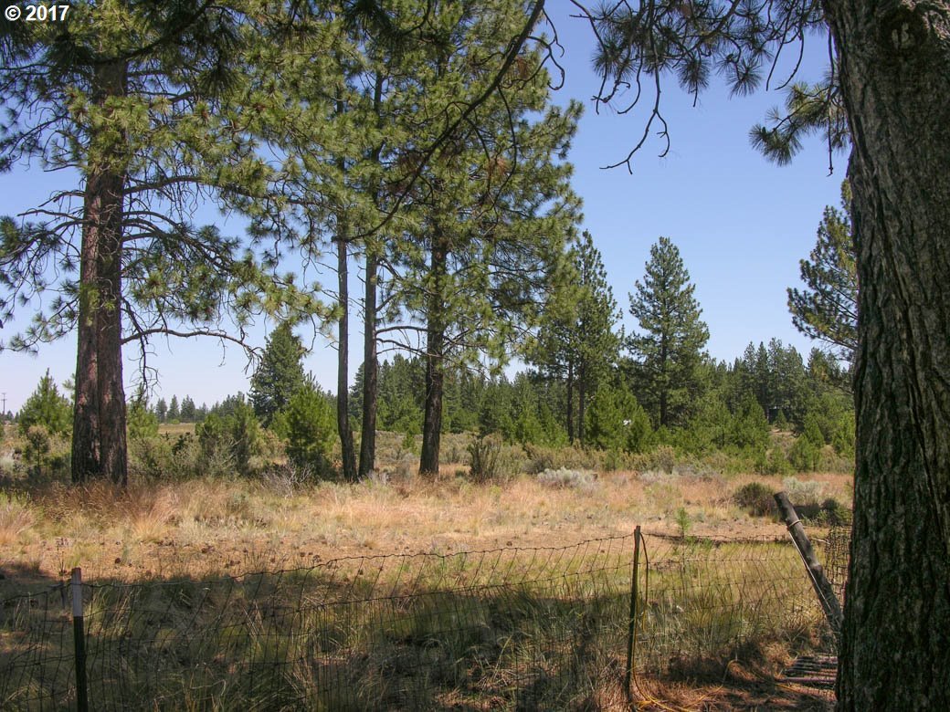 19208 Shoshone Road Bend, OR 97702 - Photo 23 of 29