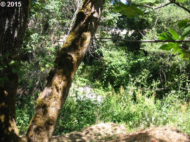 1087 Wards Cr Road Rogue River, OR 97537 - Photo 16 of 16 Gallery Image 16