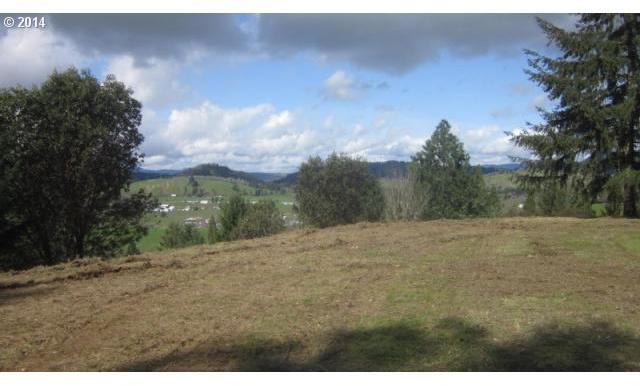 1022 Plat B Road Sutherlin, OR 97479 - Photo 13 of 16