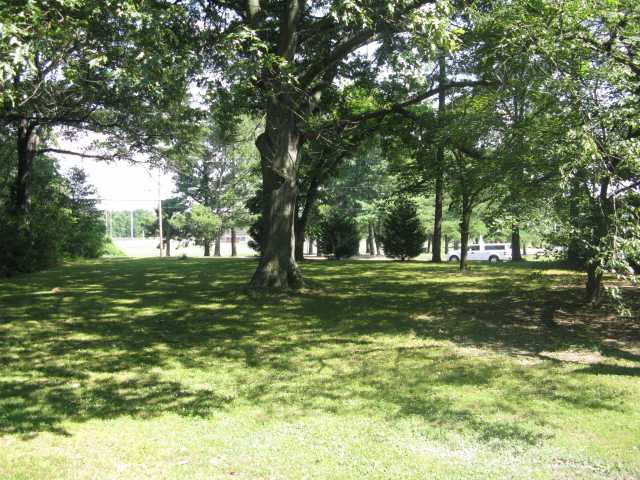 2266 James Road Memphis, TN 38127 - Photo 8 of 12 View from front windows!