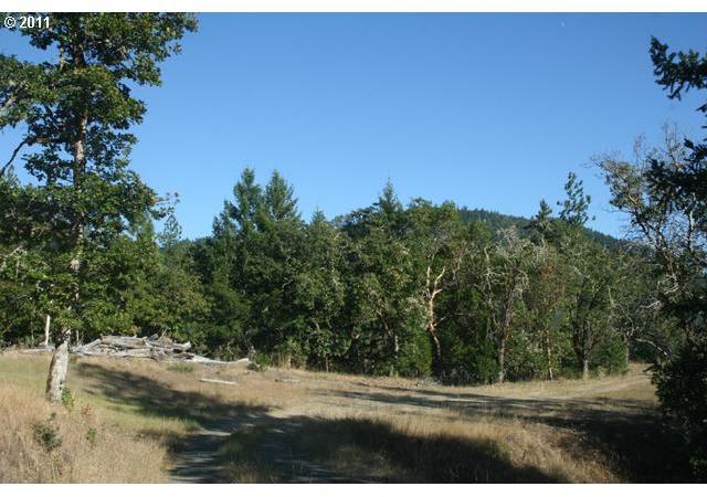 Guth Road Grants Pass, OR 97526 - Photo 4 of 8 Gallery Image 4
