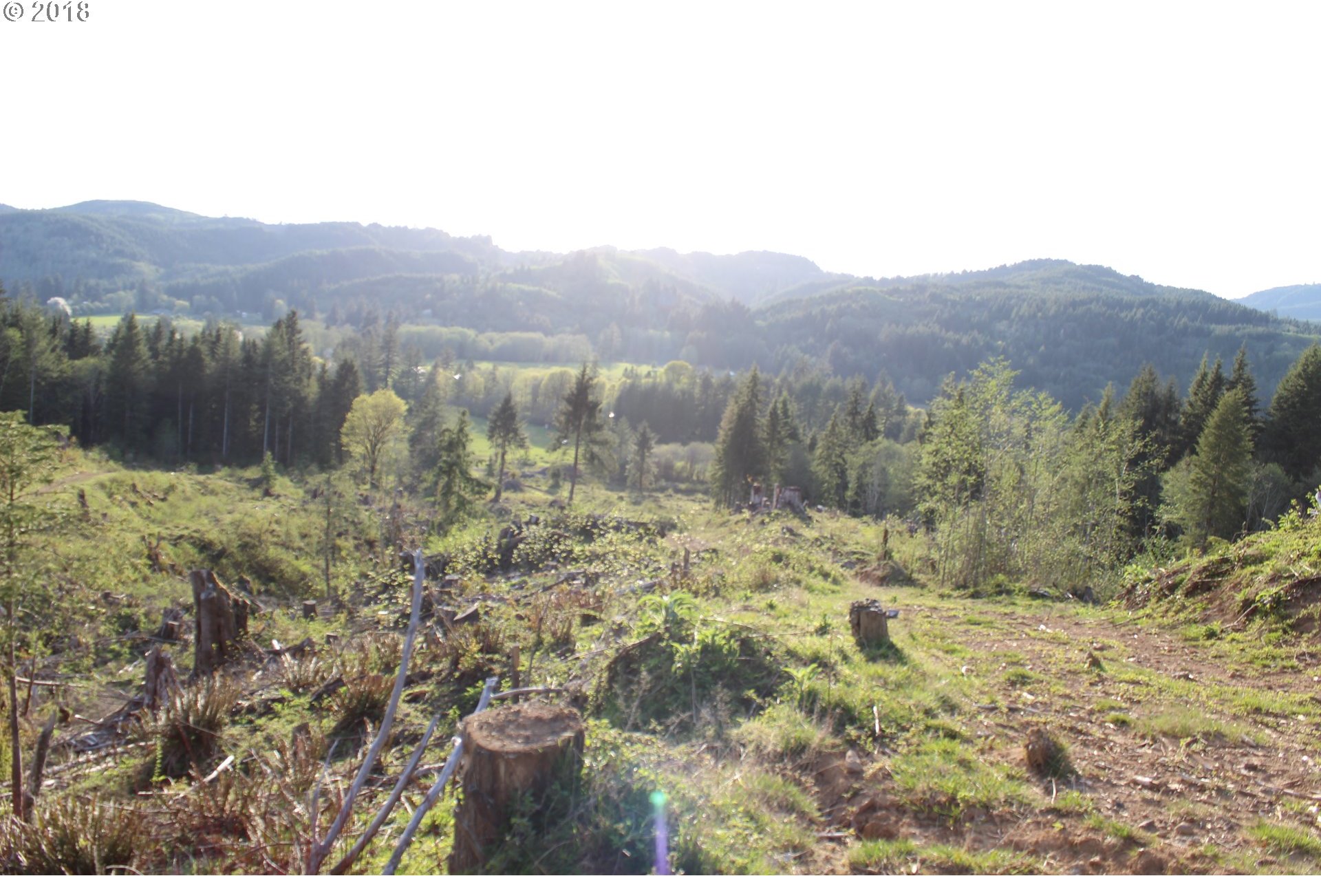 Elochoman Valley Cathlamet, WA 98612 - Photo 13 of 26