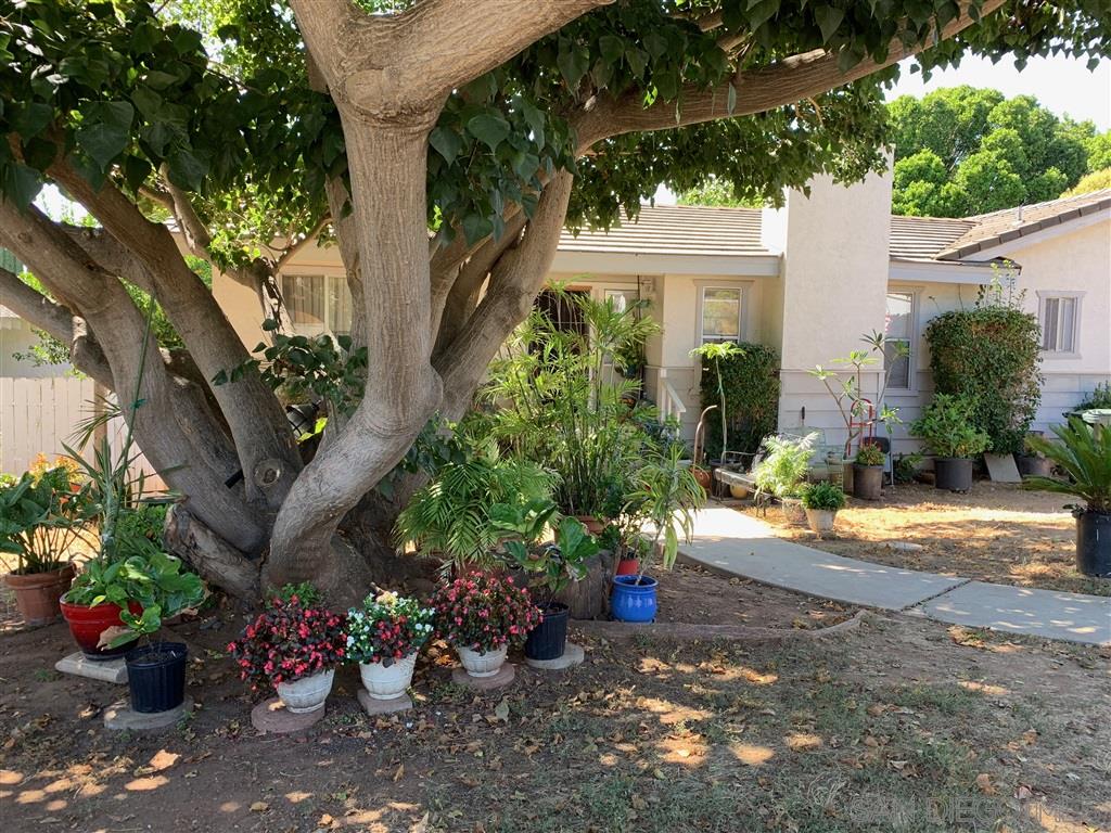 180 Floresta Fallbrook, CA 92028 - Photo 4 of 13 Gallery Image 4