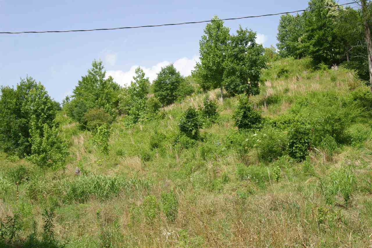 Gallery Image 6